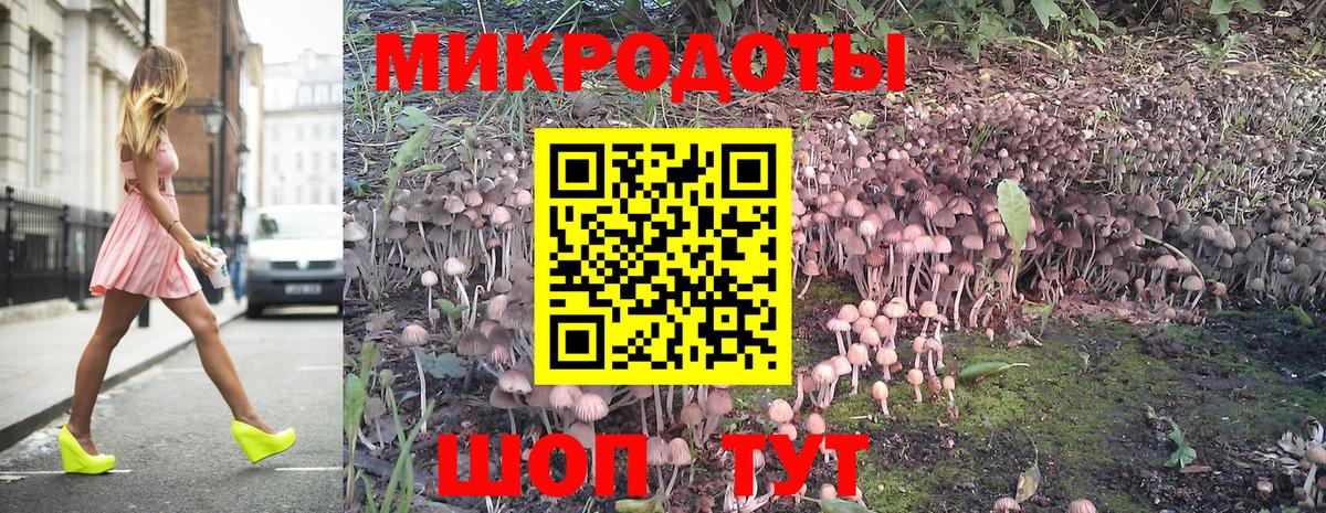 Чита  Псилоцибиновые грибы прущие грибы  Вход с VPN 