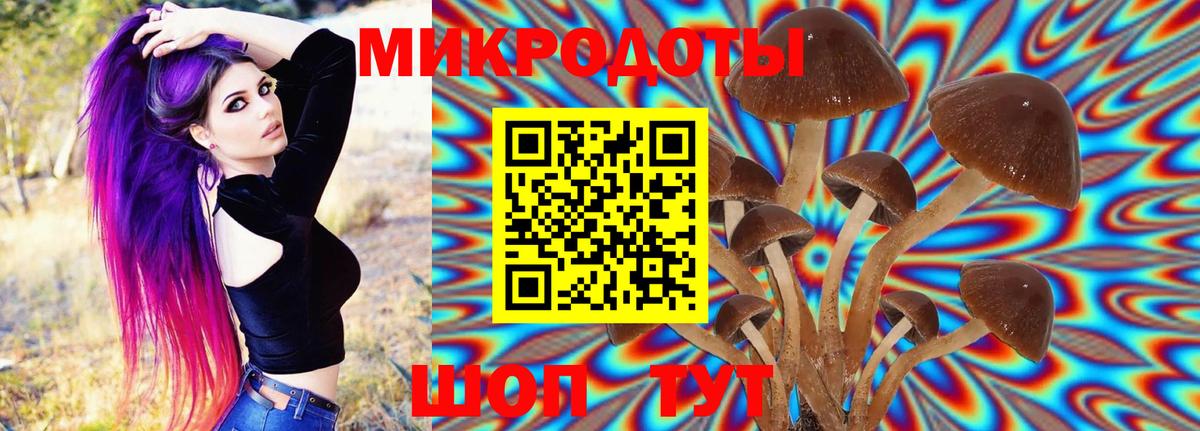 Псилоцибиновые грибы GOLDEN TEACHER Чита